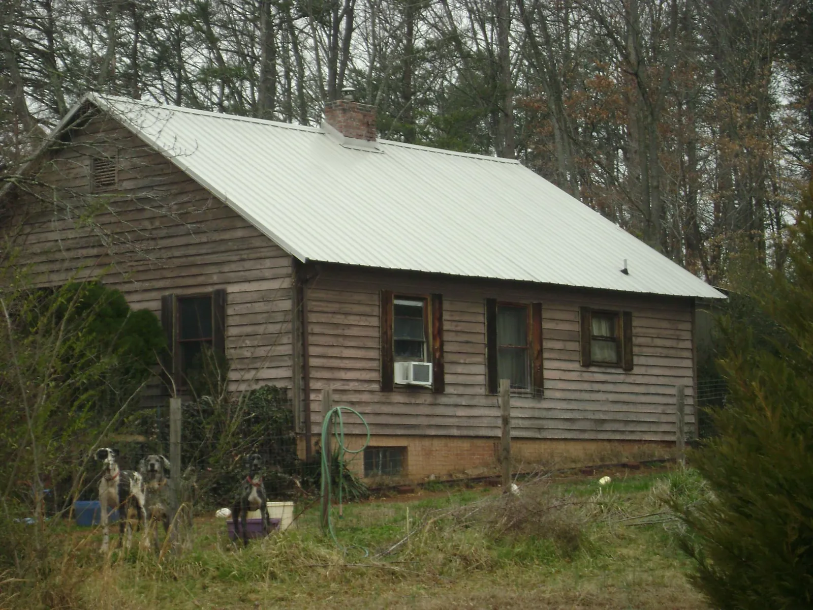 White metal roof on an old wood sided farmhouse, from a Asphalt Shingle Roof Repair job in Crescent City